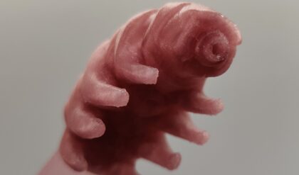 Pink tardigrade bookmark